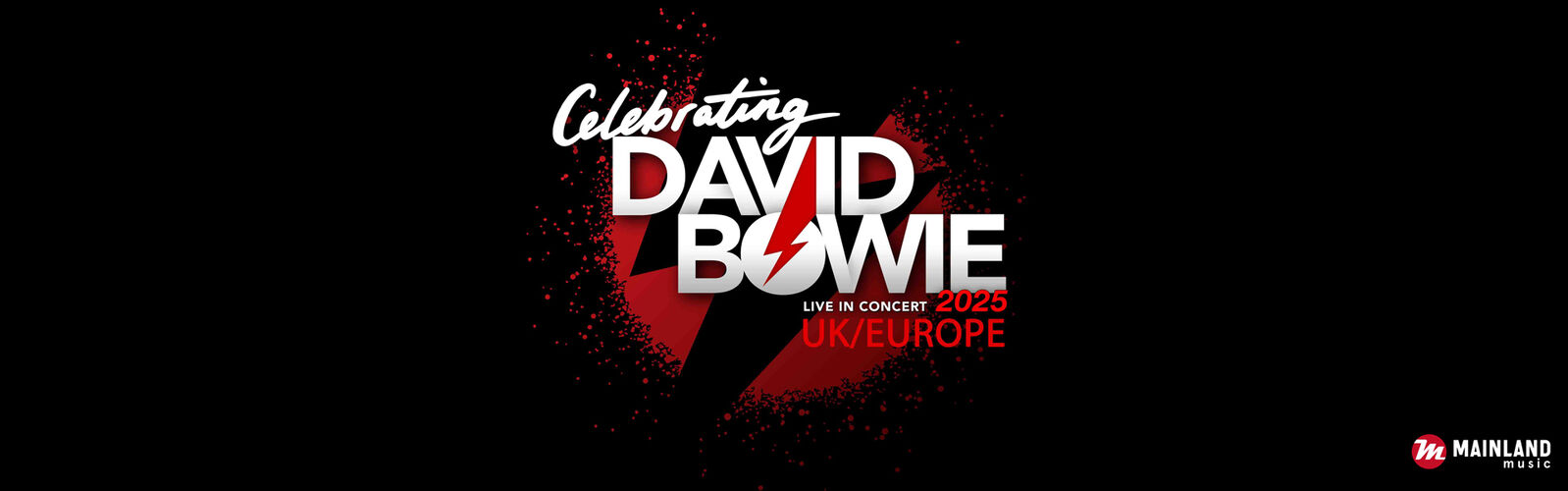 CELEBRATING DAVID BOWIE - 9. Januar 2025